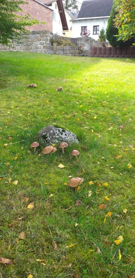 Rekreacni Dum Pohoda Jiretin pod Jedlovou Exterior photo